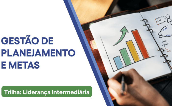 Gestão de Planejamento e Metas