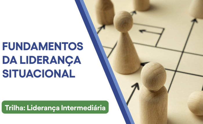 Fundamentos da Liderança Situacional