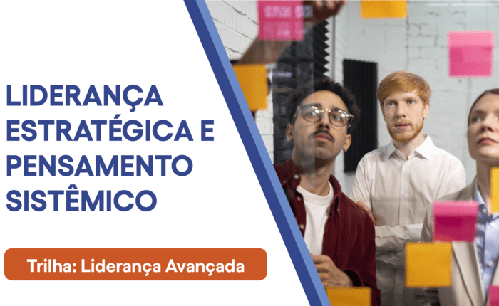 Liderança Estratégica e Pensamento Sistêmico